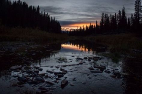 The natural landscapes of The Revenant