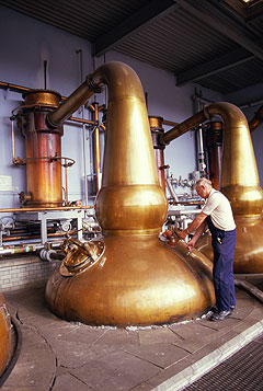 pot still