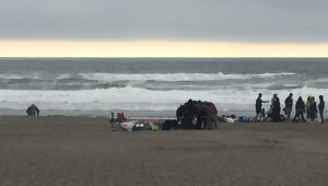 LDG: "This is what you look like. Crazy people."