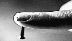 tumblr_n3zfpoxlfh1r8lutfo1_250